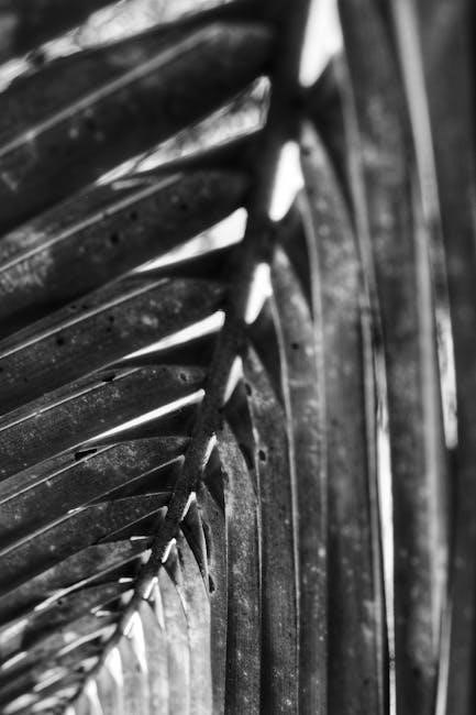 25-3/440 check pdf 2023